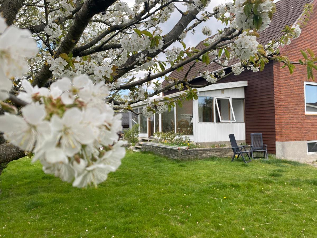 Spacious & Well Located Villa Apartement Herlev Exteriör bild